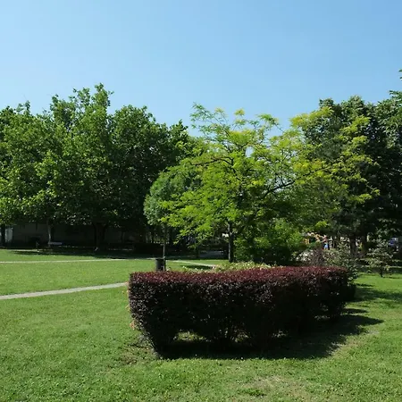 Arany Sziget Apartmán