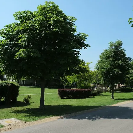 Arany Sziget Apartment